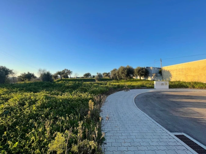 Terreno para Venda em Torres Novas (Santa Maria, Salvador e Santiago) Foto 11