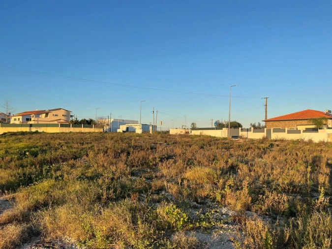 Terreno para Venda em Torres Novas (Santa Maria, Salvador e Santiago) Foto 21