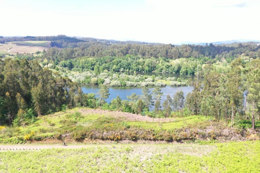 Terreno para Venda em Mazedo e Cortes Foto 6