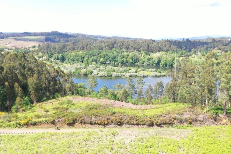Terreno para Venda em Mazedo e Cortes Foto 6