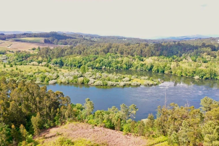 Terreno para Venda em Mazedo e Cortes Foto 16