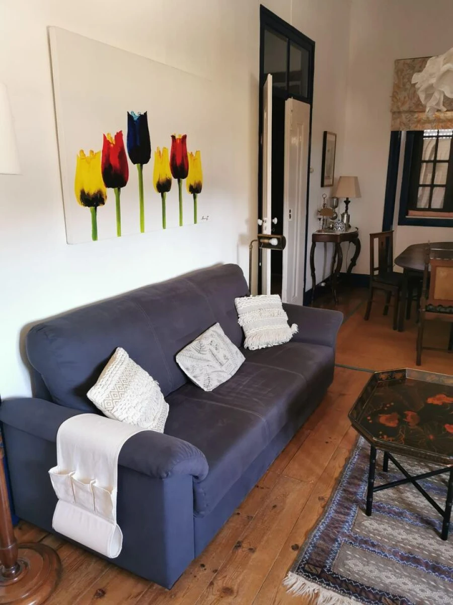 Moradia T2 para Venda em São João da Ribeira e Ribeira de São João Foto 4