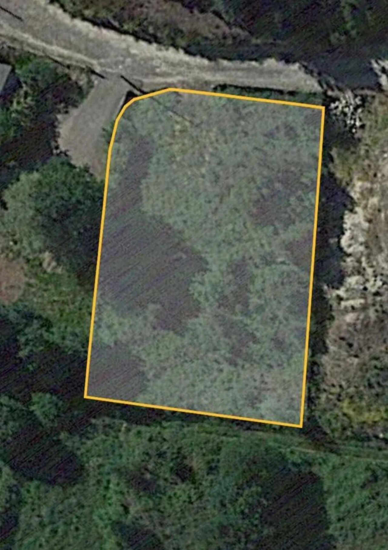 Terreno para Venda em Gondomil e Sanfins Foto 1