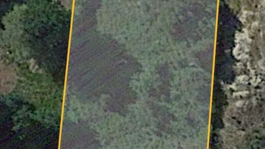 Terreno para Venda em Gondomil e Sanfins