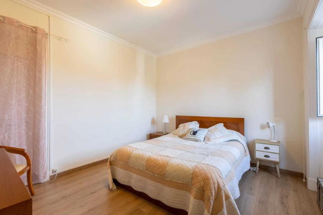 Quinta T3 para Venda em São Miguel do Rio Torto e Rossio Ao Sul do Tejo Foto 8