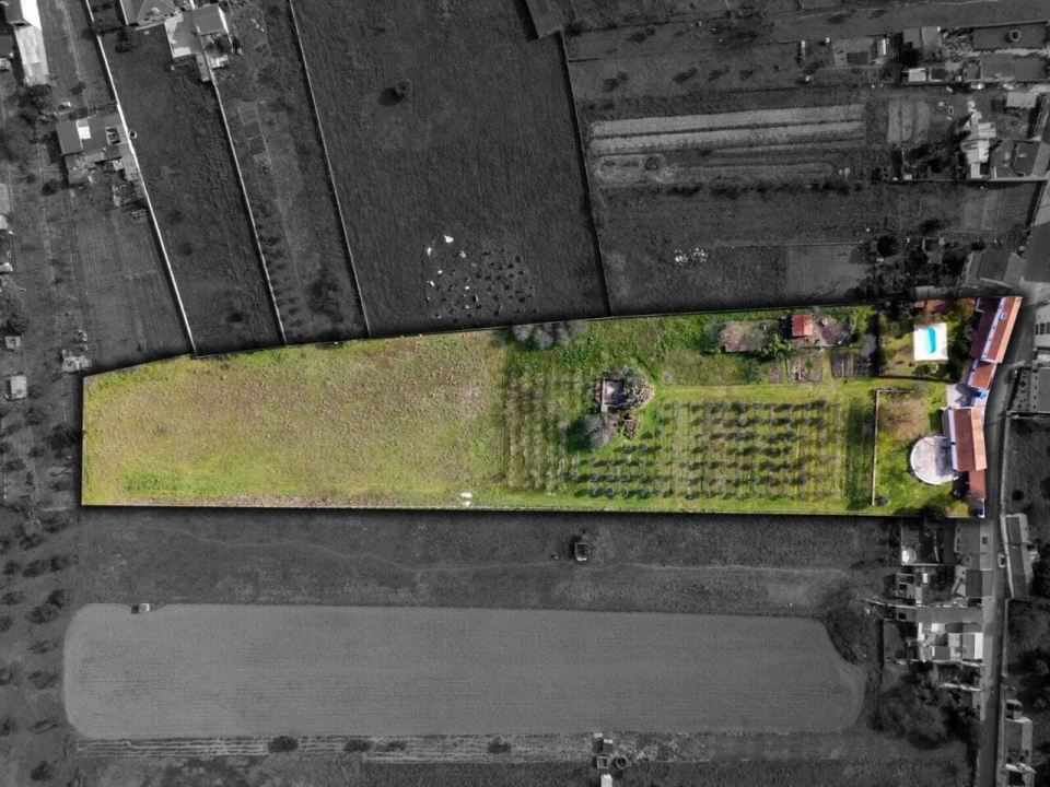 Quinta T3 para Venda em São Miguel do Rio Torto e Rossio Ao Sul do Tejo Foto 19