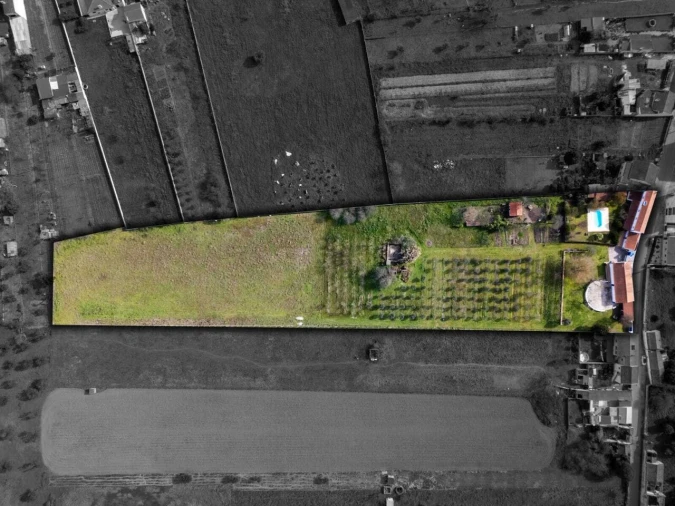 Quinta T3 para Venda em São Miguel do Rio Torto e Rossio Ao Sul do Tejo Foto 19