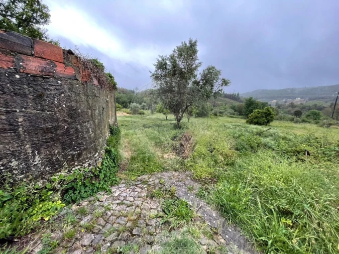 Prédio para Venda em Figueiró dos Vinhos e Bairradas Foto 3