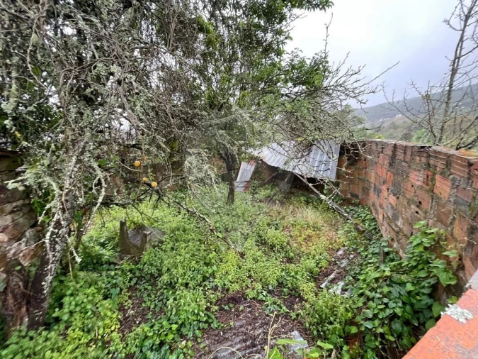 Prédio para Venda em Figueiró dos Vinhos e Bairradas Foto 14