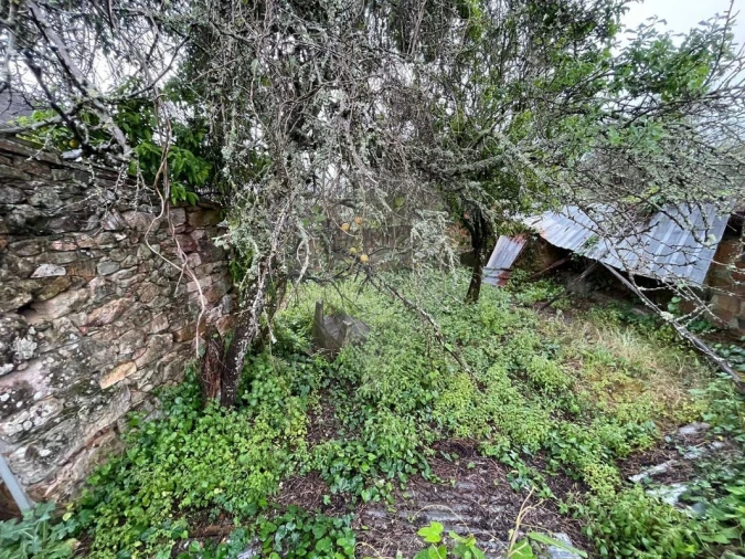 Prédio para Venda em Figueiró dos Vinhos e Bairradas Foto 5