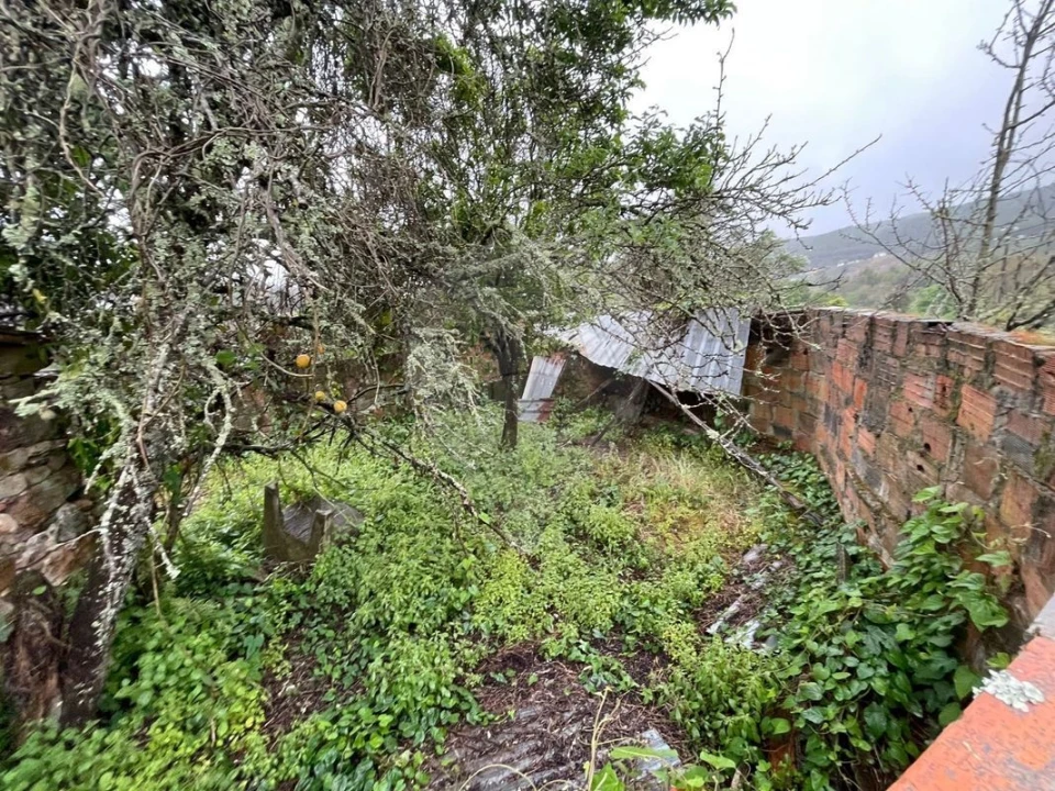 Prédio para Venda em Figueiró dos Vinhos e Bairradas Foto 14