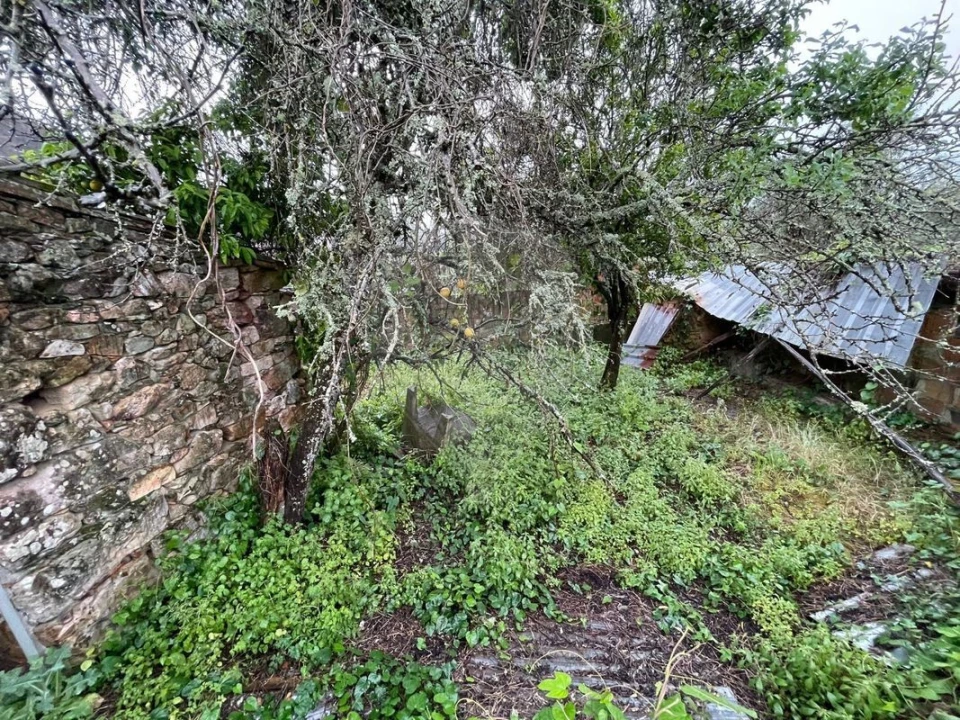 Prédio para Venda em Figueiró dos Vinhos e Bairradas Foto 5