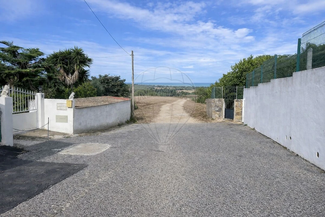 Terreno para Venda em Santa Maria e São Miguel, São Martinho, São Pedro Penaferrim Foto 5