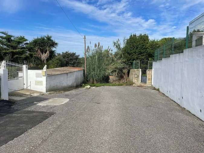 Terreno para Venda em Santa Maria e São Miguel, São Martinho, São Pedro Penaferrim Foto 6
