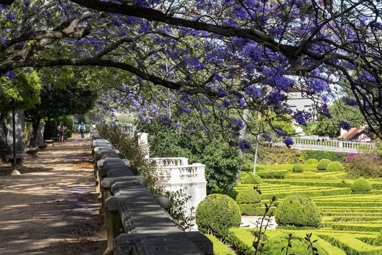 Moradia T4 para Venda em Estrela Foto 25