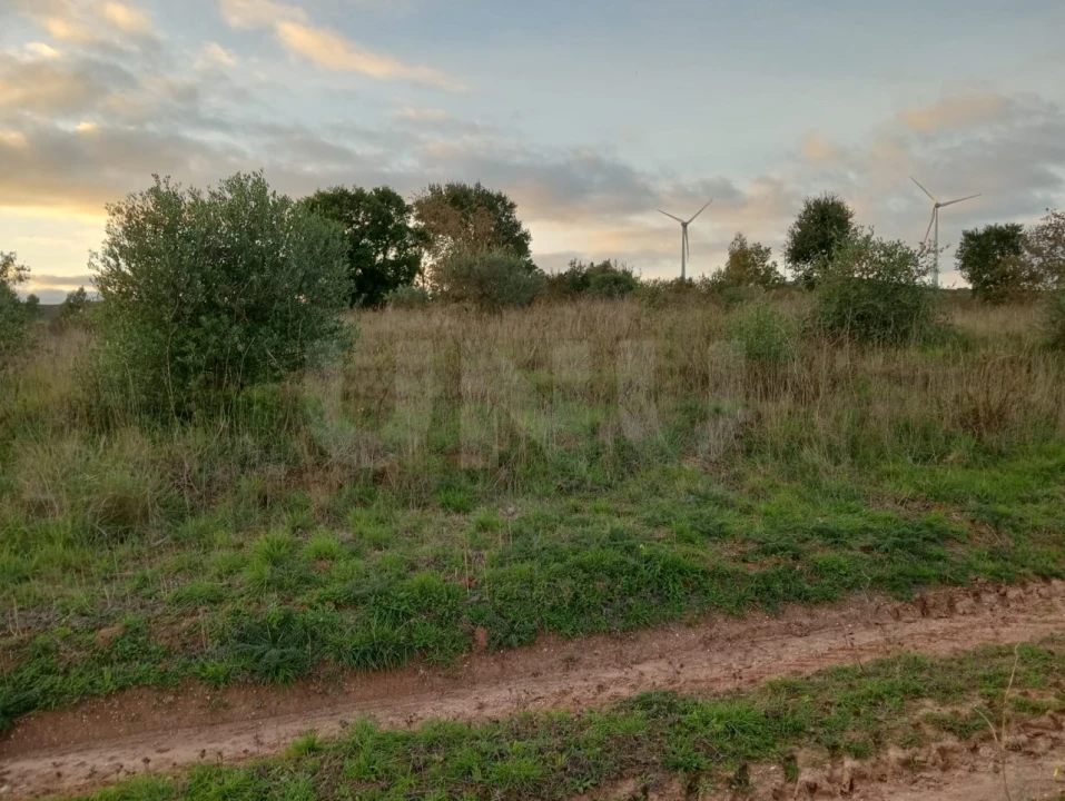 Terreno Agricola ou Rústico para Venda em Dois Portos e Runa Foto 3