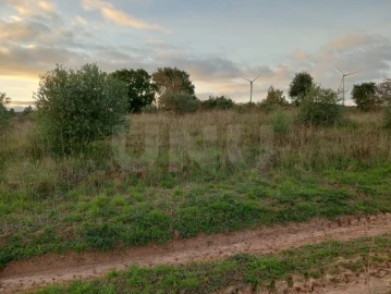 Terreno Agricola ou Rústico para Venda em Dois Portos e Runa