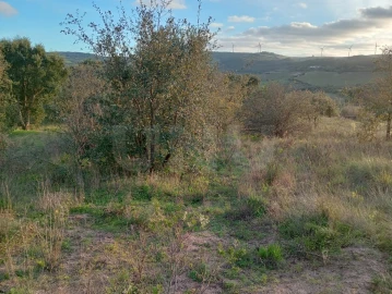 Terreno Agricola ou Rústico para Venda em Dois Portos e Runa