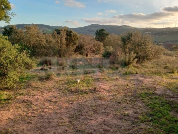Terreno Agricola ou Rústico para Venda em Dois Portos e Runa