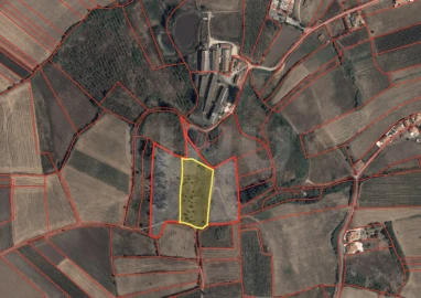 Terreno Agricola ou Rústico para Venda em Dois Portos e Runa