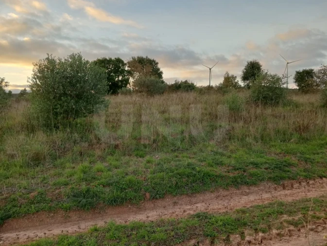 Terreno Agricola ou Rústico para Venda em Dois Portos e Runa Foto 3