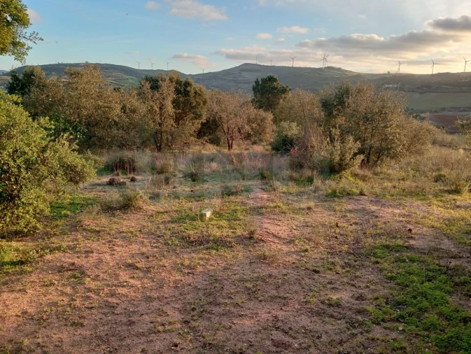 Terreno Agricola ou Rústico para Venda em Dois Portos e Runa Foto 2