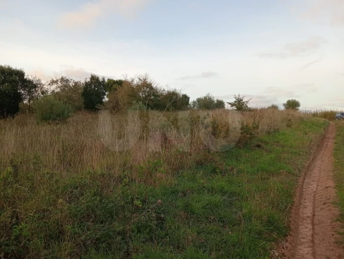 Terreno Agricola ou Rústico para Venda em Dois Portos e Runa Foto 8