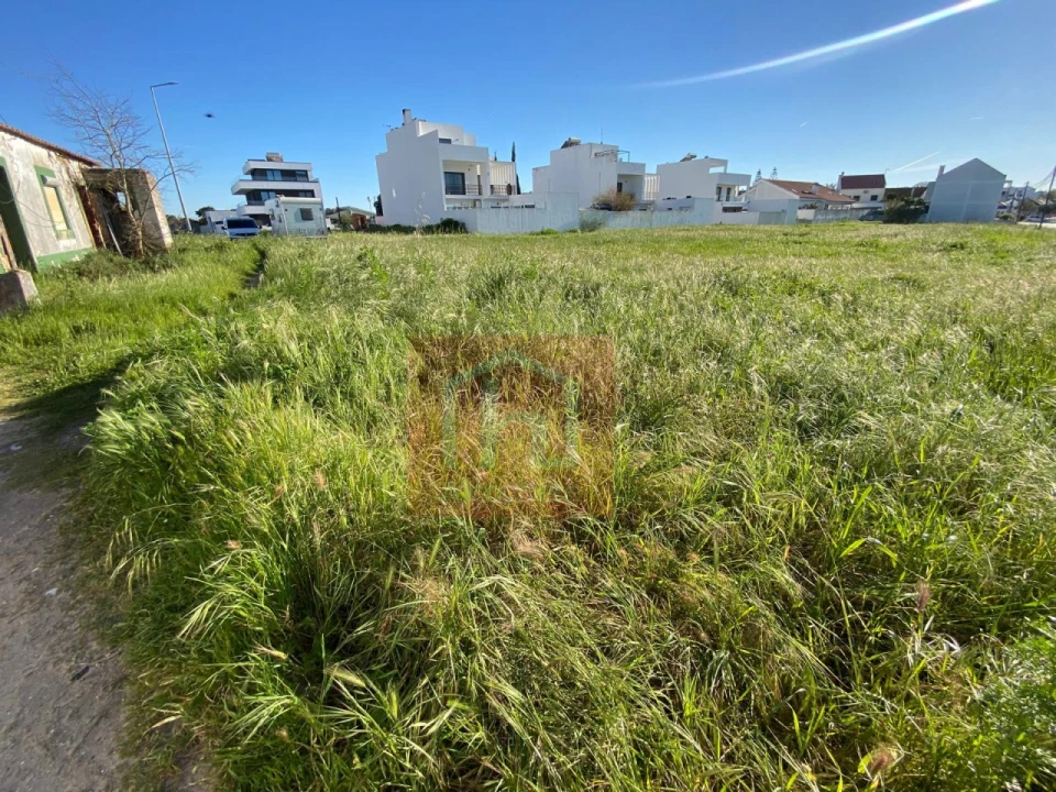 Terreno Agricola ou Rústico para Venda em Samouco Foto 6