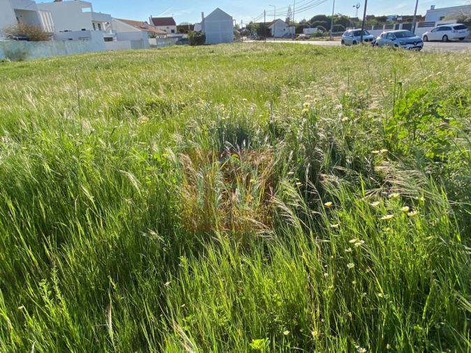 Terreno Agricola ou Rústico para Venda em Samouco Foto 4