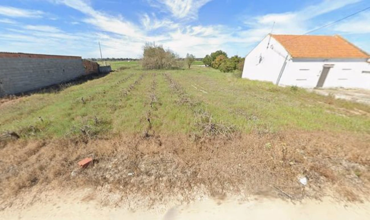 Terreno P/ Prédio para Venda em Salvaterra de Magos e Foros de Salvaterra Foto 4
