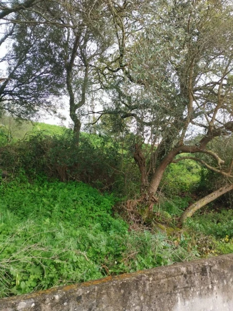 Terreno Agricola ou Rústico para Venda em Almargem do Bispo, Pêro Pinheiro e Montelavar