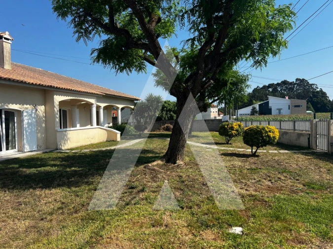 Moradia T4 para Venda em Oliveirinha Foto 48