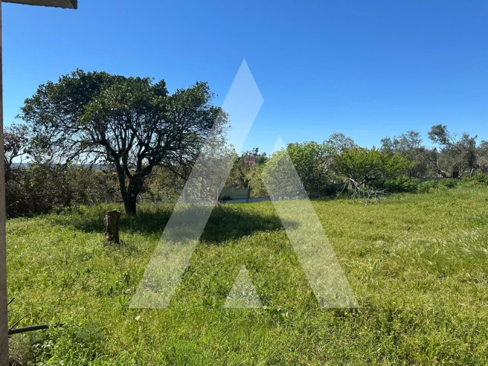 Moradia T3 para Venda em Milagres Foto 7