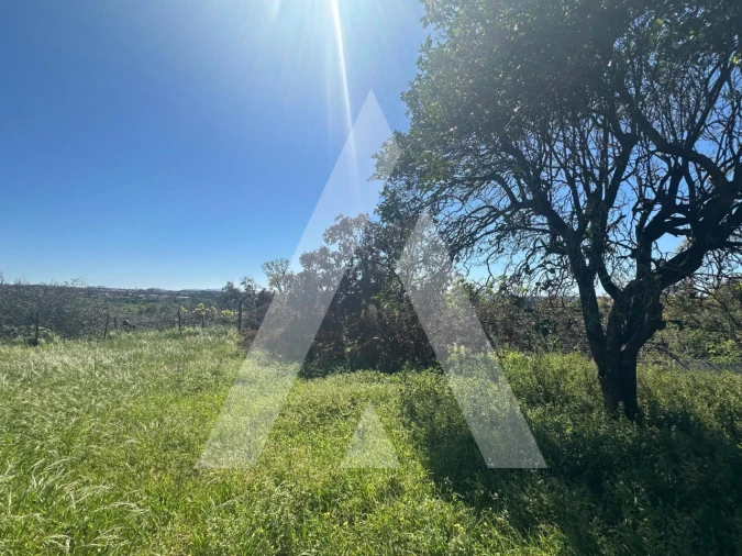 Moradia T3 para Venda em Milagres Foto 22