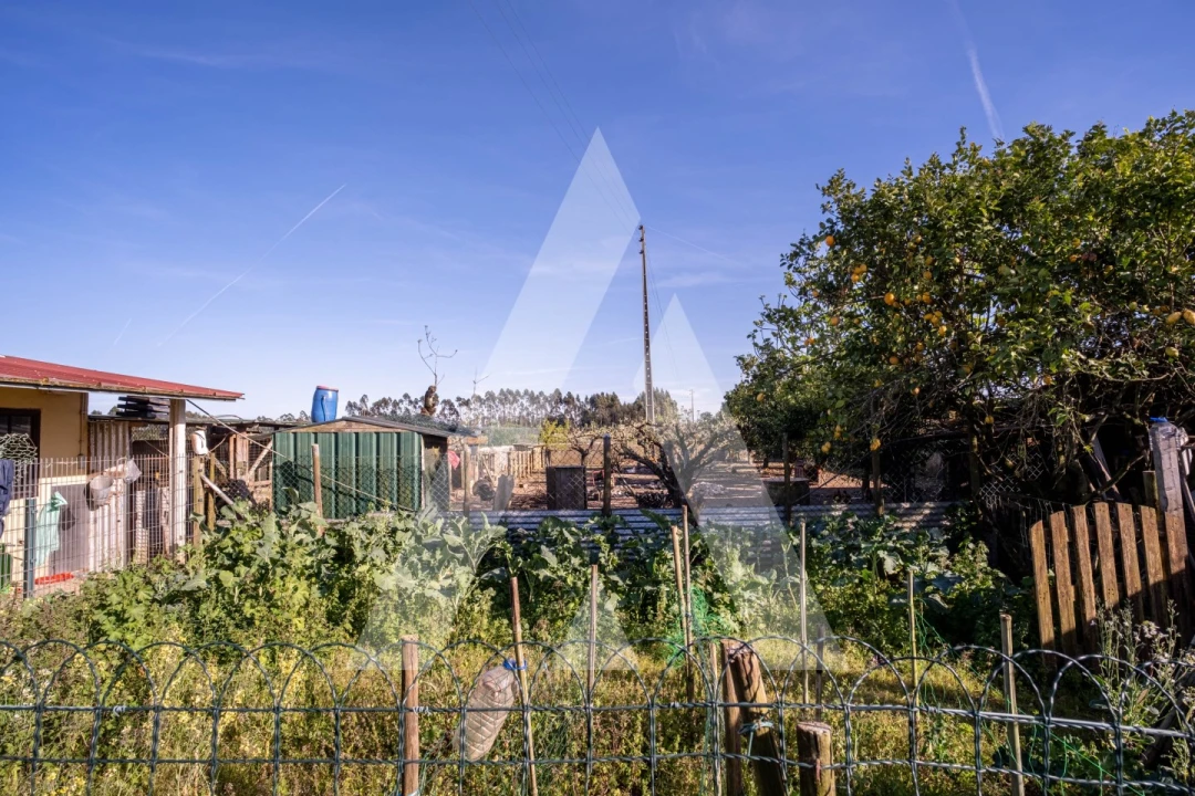 Moradia T4 para Venda em Oliveirinha Foto 62