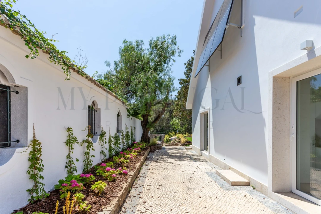 Moradia T6 para Venda em Cascais e Estoril Foto 78