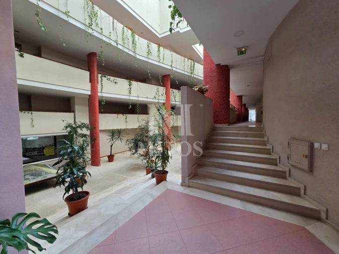 Apartamento T1 para Arrendamento em Darque Foto 11