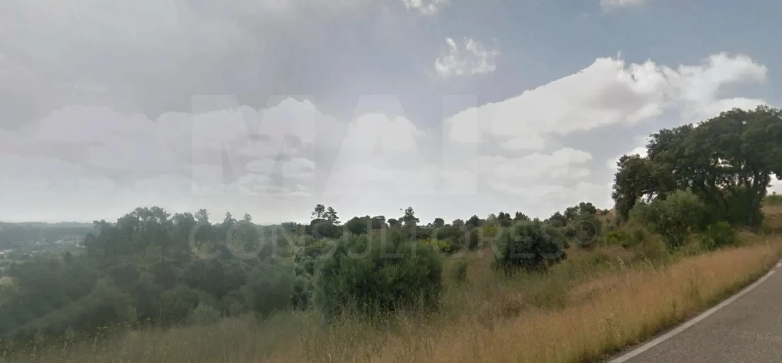 Terreno para Venda em Marmeleira e Assentiz Foto 4