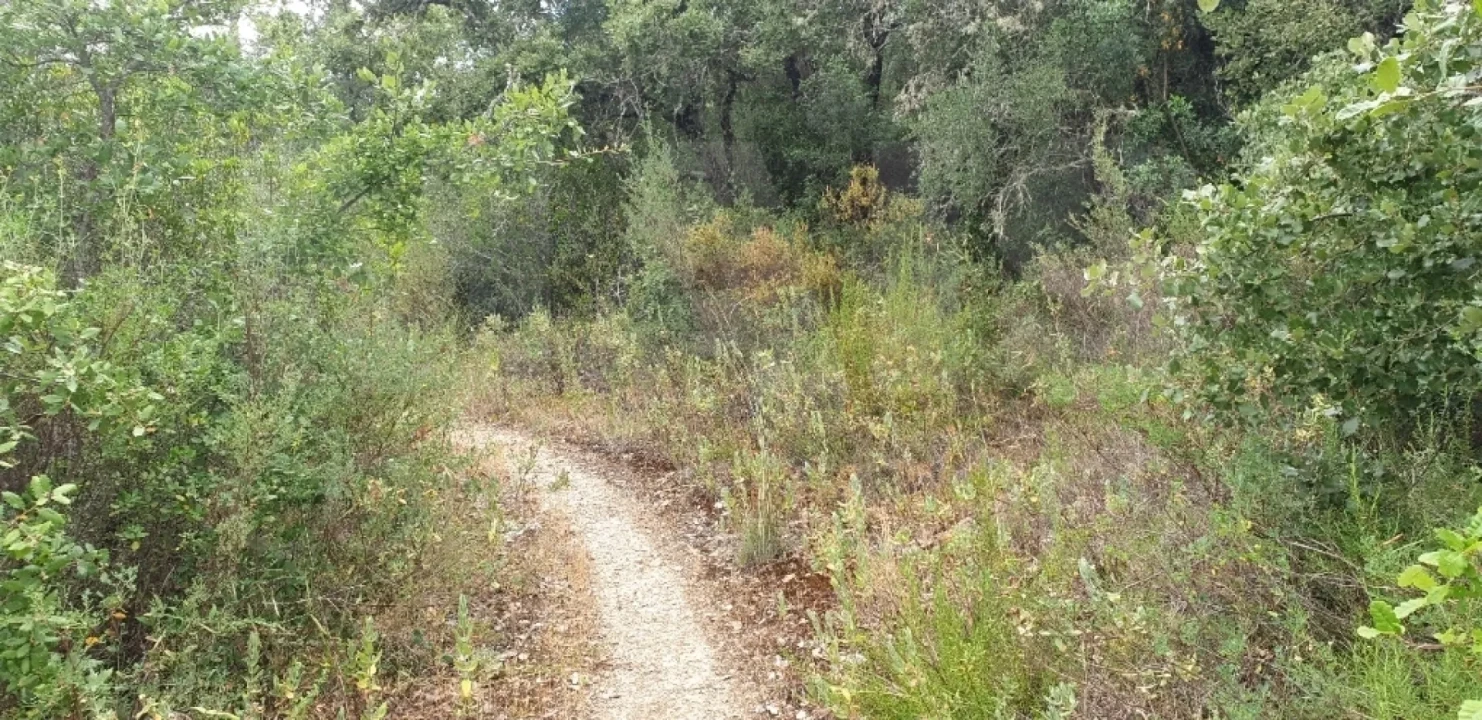 Terreno para Venda em Marmeleira e Assentiz Foto 1