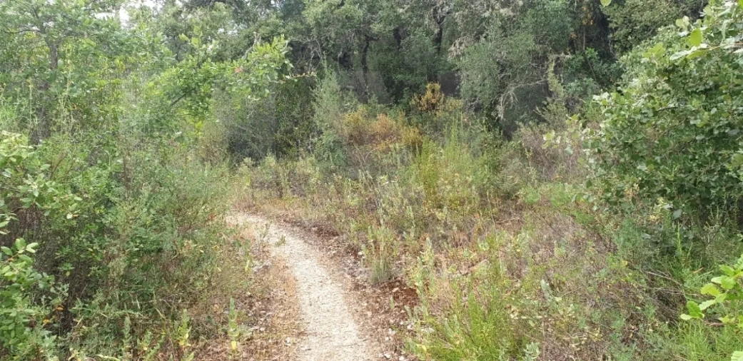 Terreno para Venda em Marmeleira e Assentiz Foto 1
