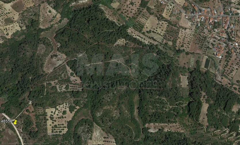 Terreno para Venda em Marmeleira e Assentiz Foto 3