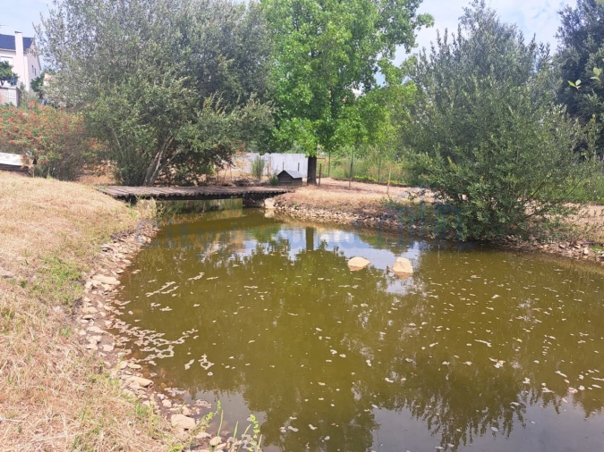 Moradia T4 para Venda em Nossa Senhora da Piedade Foto 55