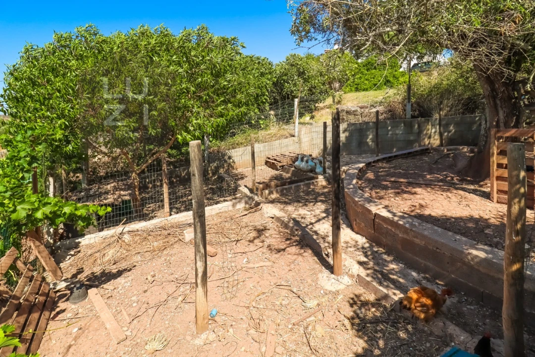 Terreno Agricola ou Rústico para Venda em Odiaxere Foto 10