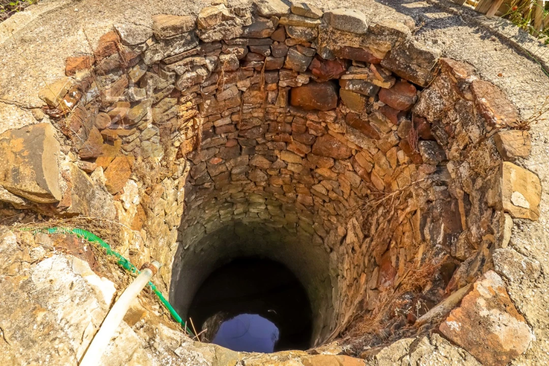 Terreno Agricola ou Rústico para Venda em Odiaxere Foto 19