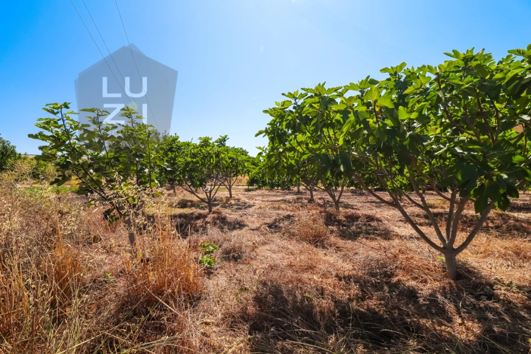 Terreno Agricola ou Rústico para Venda em Odiaxere Foto 4