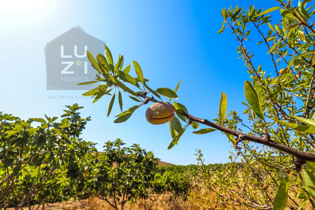 Terreno Agricola ou Rústico para Venda em Odiaxere Foto 26