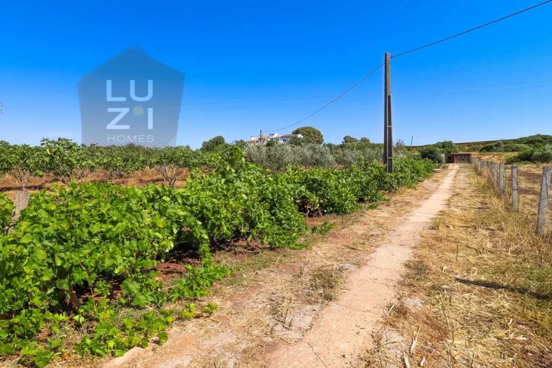 Terreno Agricola ou Rústico para Venda em Odiaxere Foto 28