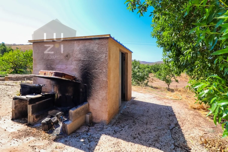 Terreno Agricola ou Rústico para Venda em Odiaxere Foto 12