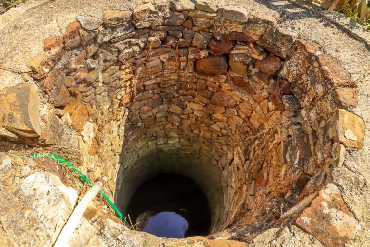 Terreno Agricola ou Rústico para Venda em Odiaxere Foto 19