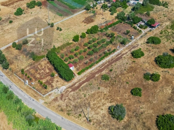 Terreno Agricola ou Rústico para Venda em Odiaxere Foto 1